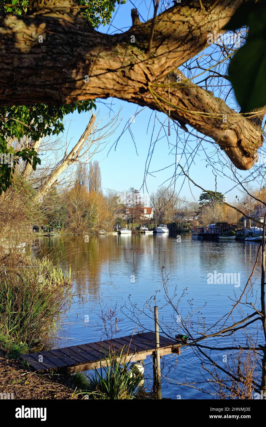 Le bord de la rivière à Shepperton pendant un hiver froid et ensoleillé Surrey Angleterre Royaume-Uni Banque D'Images