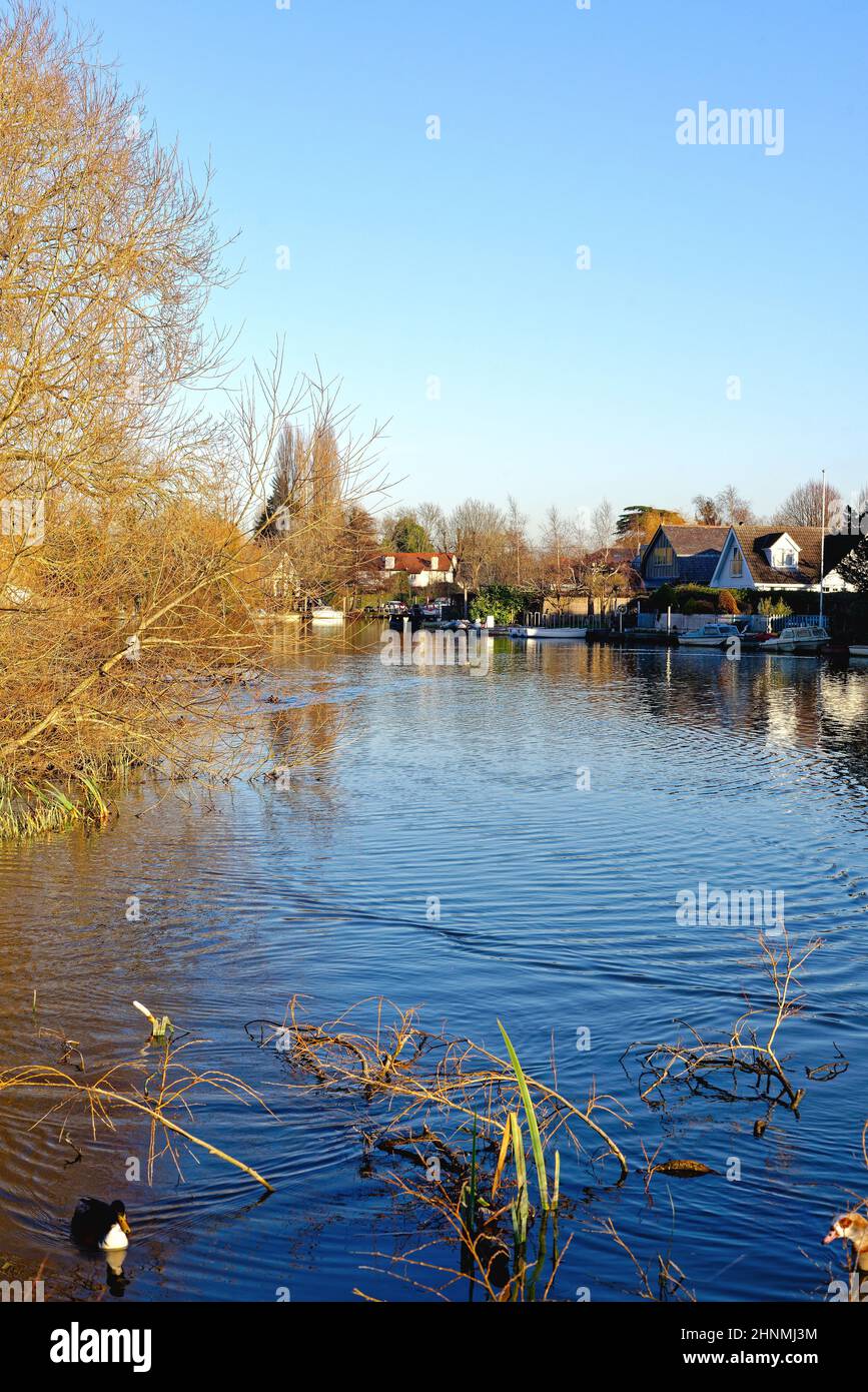 Le bord de la rivière à Shepperton pendant un hiver froid et ensoleillé Surrey Angleterre Royaume-Uni Banque D'Images