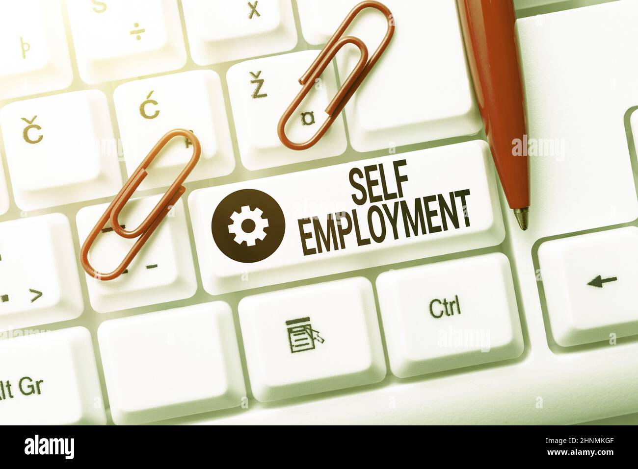 Texte d'écriture Auto-emploi, concept signifiant travailler pour soi-même en tant que freelance ou le propriétaire d'une entreprise Internet de navigation et de recherche en ligne S Banque D'Images