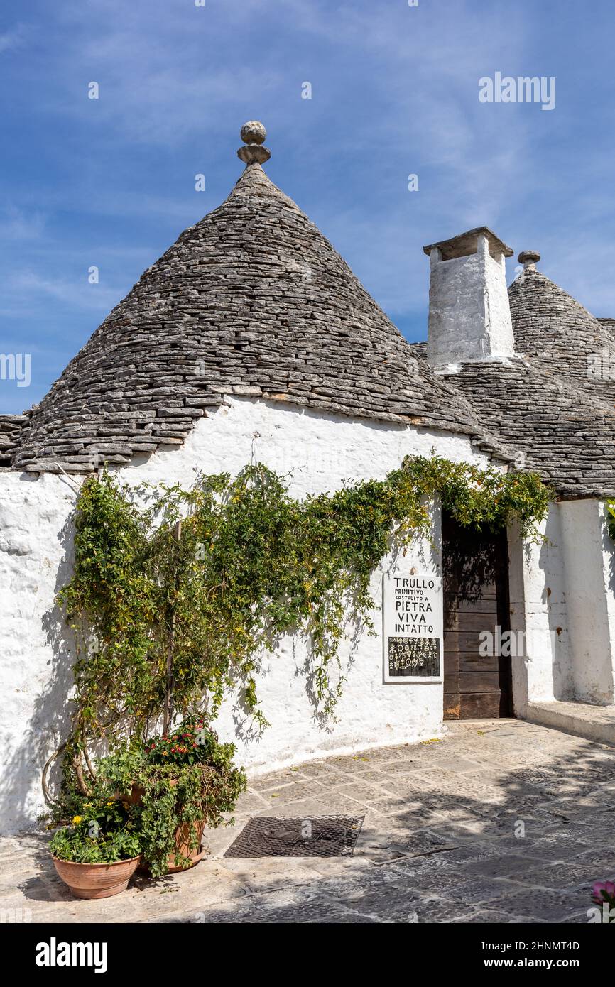 Maisons blanches traditionnelles dans le village de Trulli. Alberobello, Italie. Banque D'Images