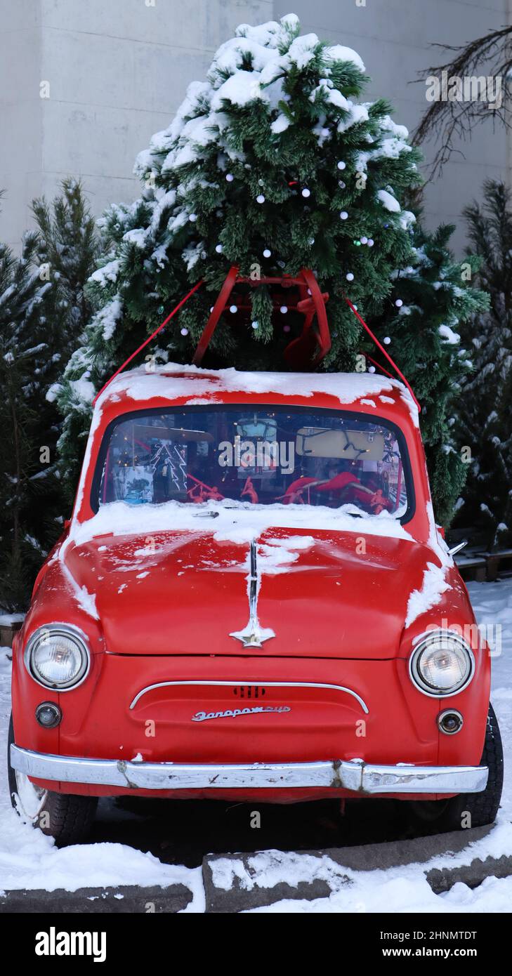 Petite voiture rétro rouge Zaporozhets avec un sapin de Noël attaché au toit. Épicéa naturel frais pour les fêtes de Noël, symbole de fête familiale. Ukraine, Kiev - 16 janvier 2021. Banque D'Images