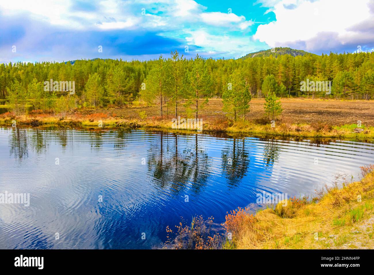 Reflet bleu clair du ciel dans l'eau du lac dans le paysage naturel de la Norvège à Treungen Nissedal Norvège. Banque D'Images