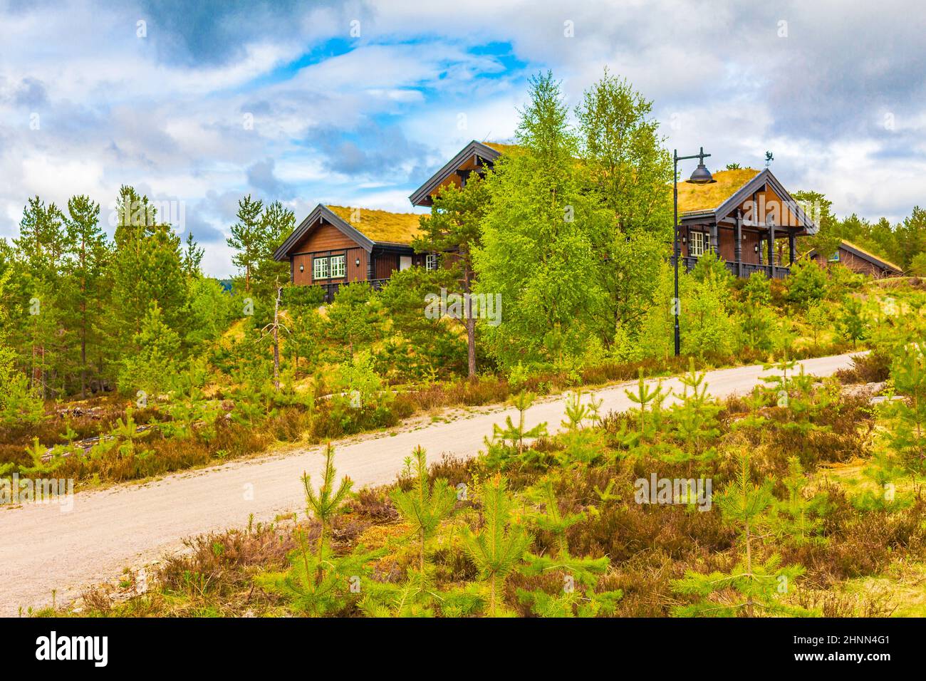 Chalets norvégiens en bois chalets dans la nature et le paysage de montagne de Treungen à Nissedal Norvège. Banque D'Images