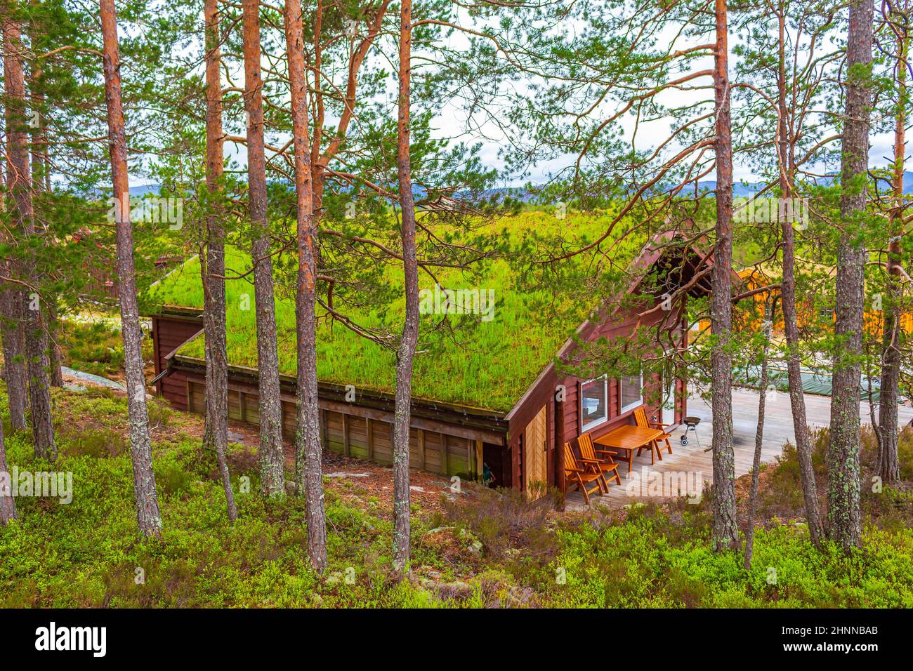 Chalet en bois norvégien dans la nature et le paysage de montagne de Treungen en Nissedal Norvège. Banque D'Images