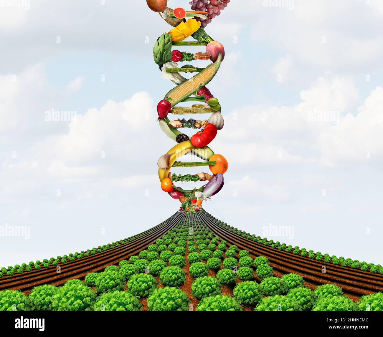 Génétique agricole et agriculture OGM ou cultures génétiquement modifiées ou biotechnologie alimentaire en croissance science et technologie de rendement agricole. Banque D'Images