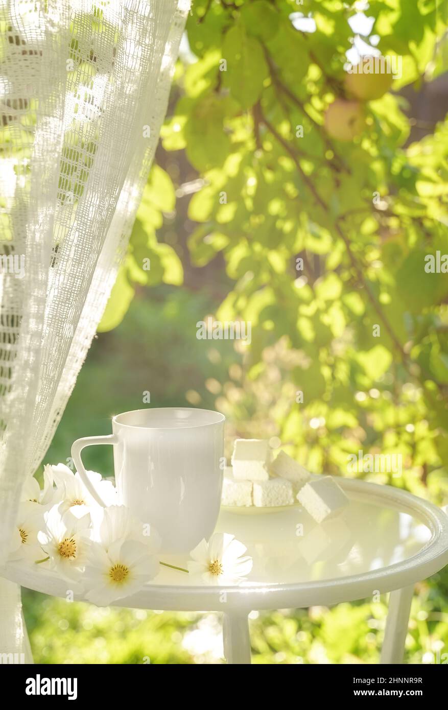 Belle tasse de café en porcelaine et gourmandises turques sur table en verre décorée de fleurs blanches dans le jardin d'été en plein soleil. Copier l'espace. Concept des boissons d'été. Banque D'Images