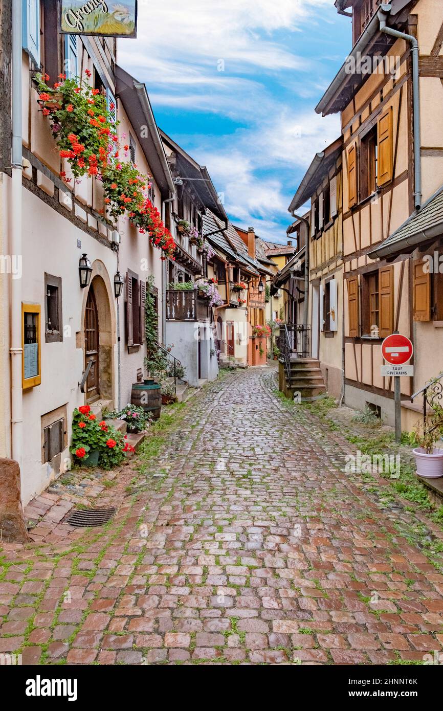 Petite route pittoresque avec maisons à colombages dans le village historique d'Eguisheim en Alsace Banque D'Images