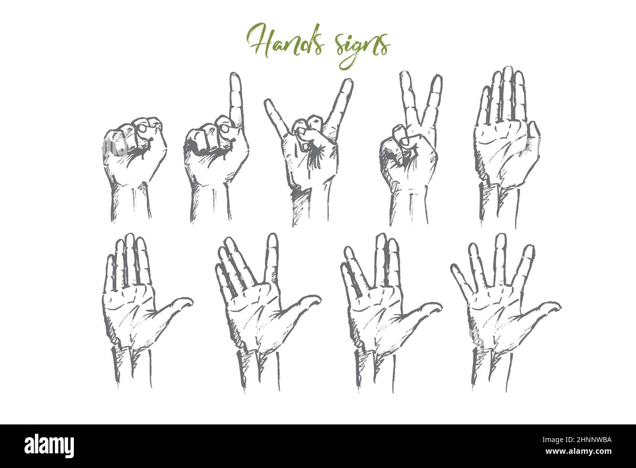 Dessin de concept de signes de main dessinés à la main par vecteur. Ensemble de paumes humaines avec des gestes différents signifiant différents signes. Lettrage des panneaux des mains Banque D'Images