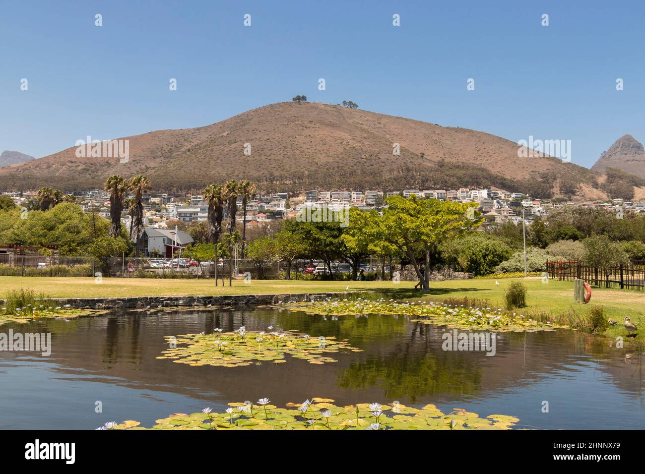 Green point Park, panorama sur la montagne au Cap, Afrique du Sud. Banque D'Images