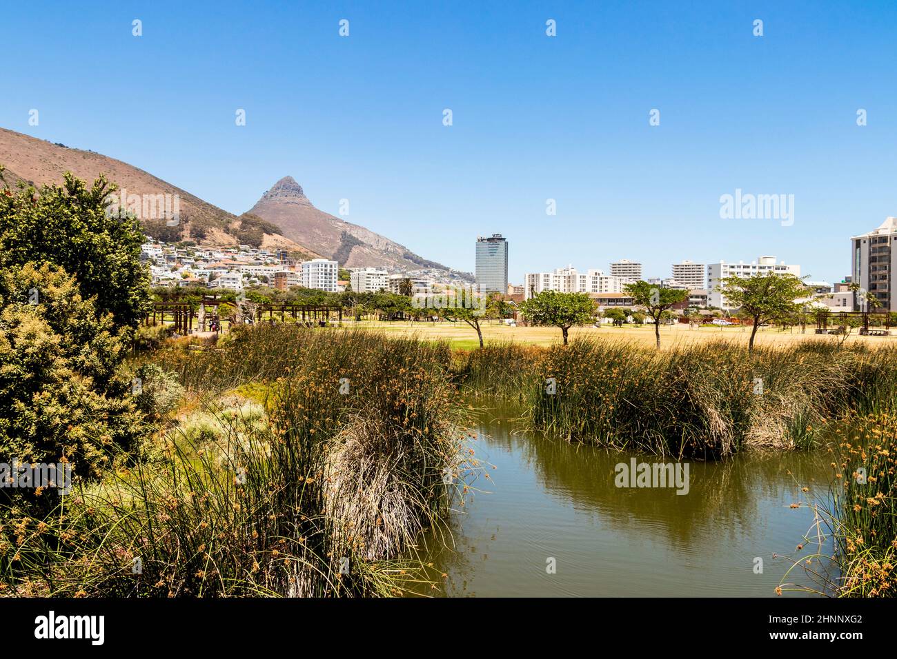 Green point Park avec lac le Cap, Afrique du Sud. Banque D'Images