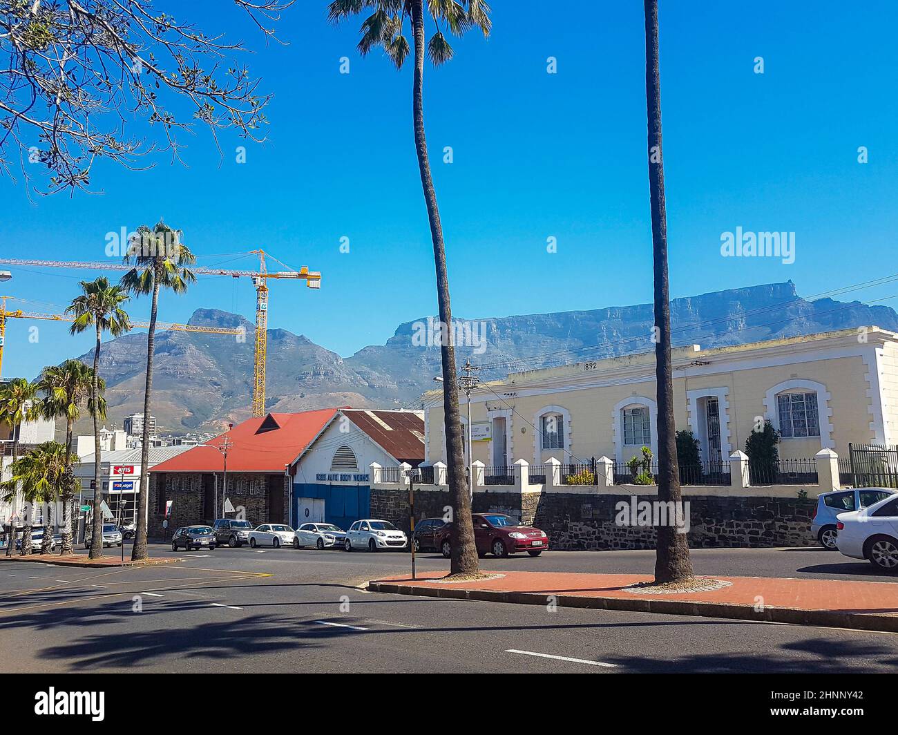 Rue typique avec palmiers et parc national de Table Mountain. Banque D'Images