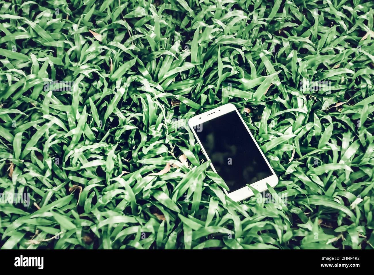 Téléphone portable sur herbe verte . travailler à l'extérieur partout style de vie .facilitez la vie avec la technologie concept idée arrière-plan .maquette pour coupon QR code sur smartphone Banque D'Images