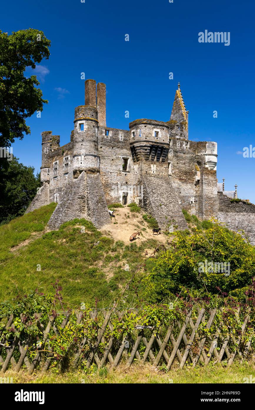 Château du Plessis Mace, pays de la Loire, France Banque D'Images