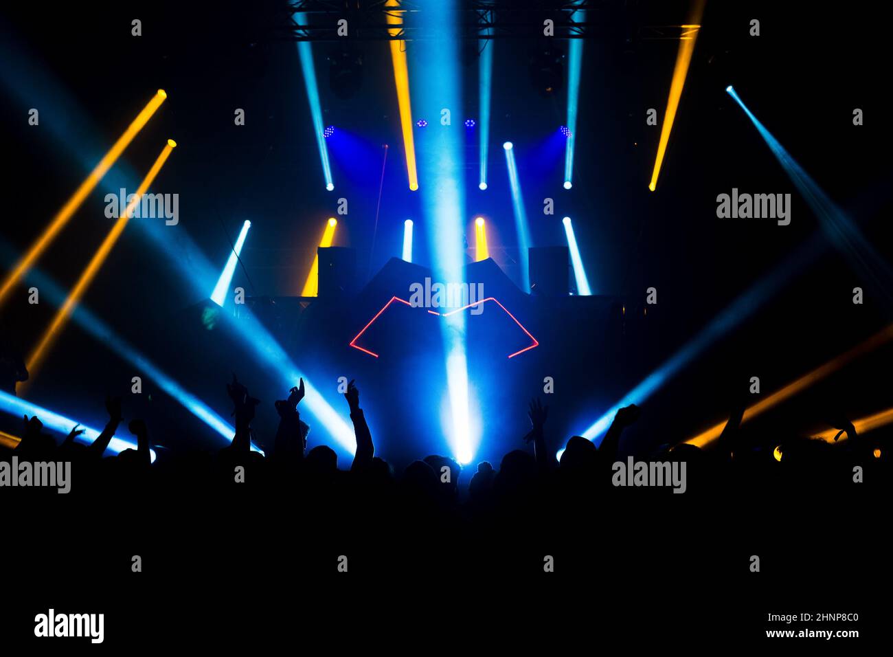 Foule de musique électronique Banque D'Images