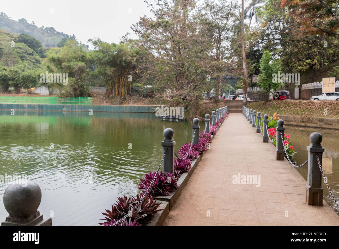 Pont et rivière, Kandy Sri Lanka avec fleurs et nature. Banque D'Images