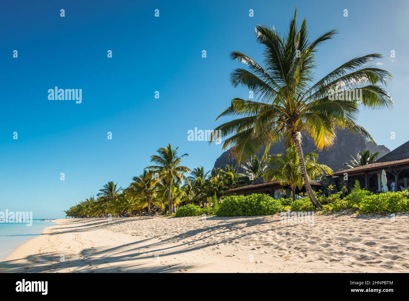 Vacances relaxantes dans un paradis tropical. Île Maurice. Banque D'Images
