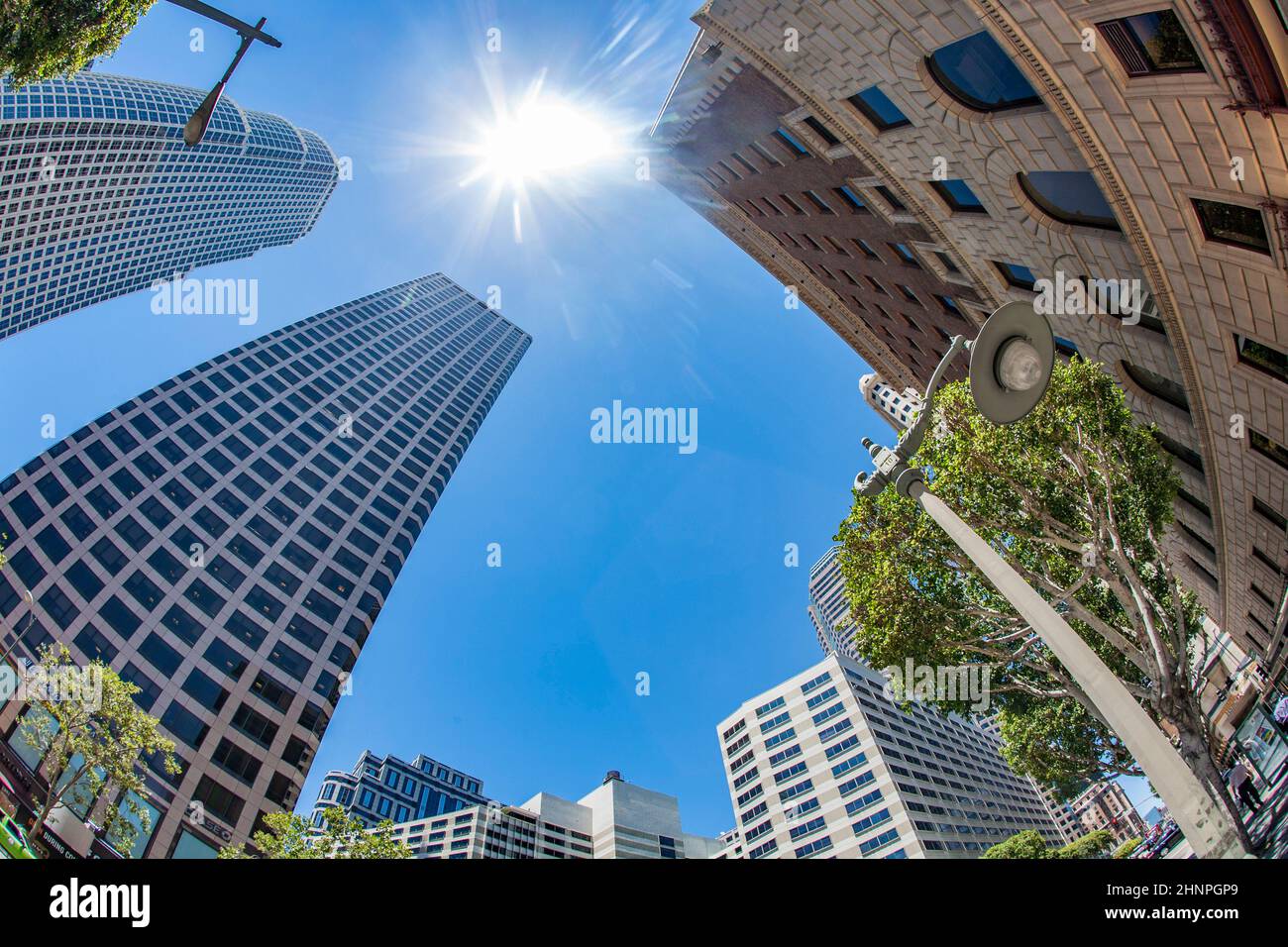 Perspective du gratte-ciel du centre-ville de Los Angeles, États-Unis Banque D'Images