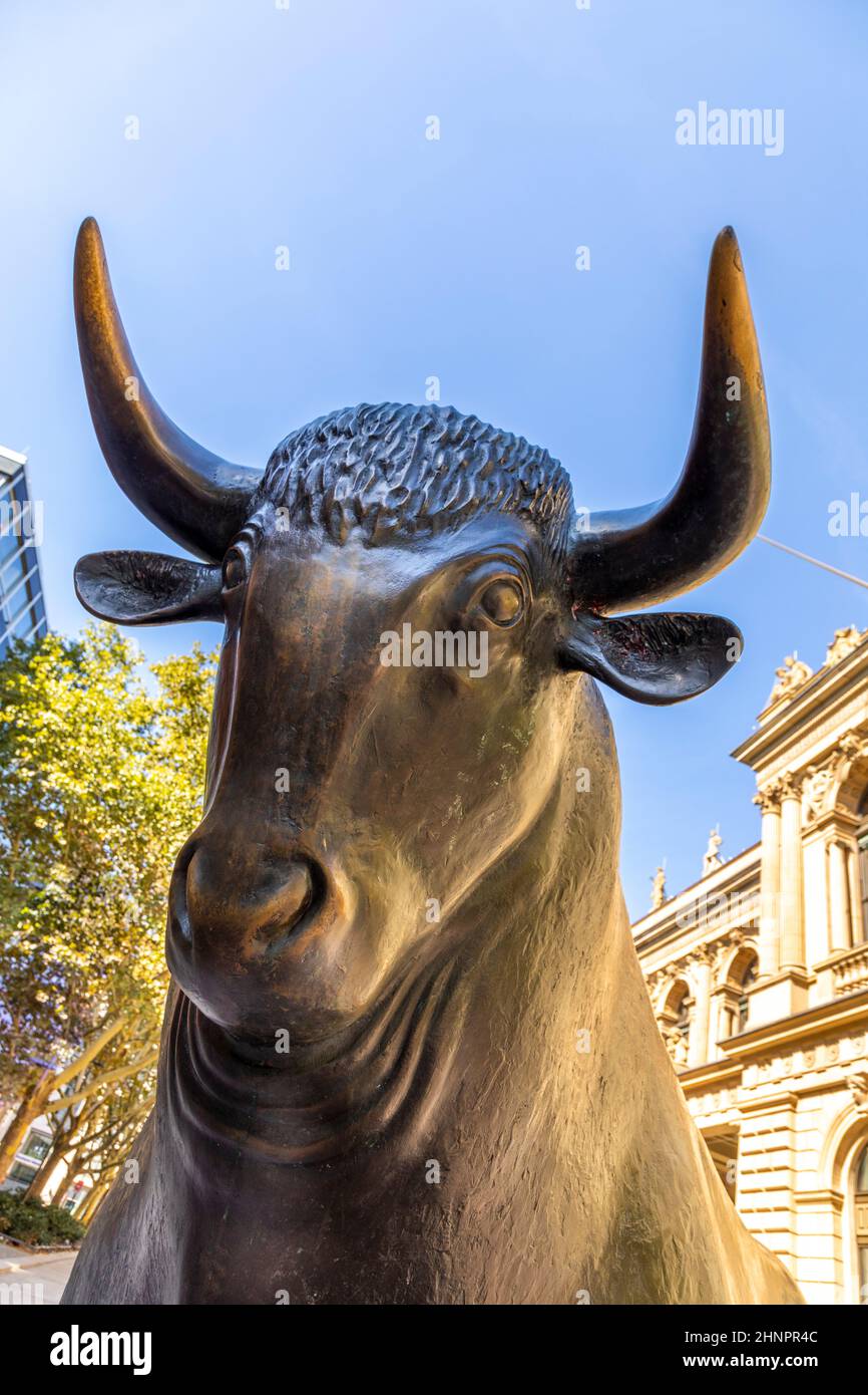 Sculpture Bear and Bull devant le bâtiment de la Bourse de Francfort. La bourse a fait don des sculptures en 1985 à la ville de Francfort Banque D'Images
