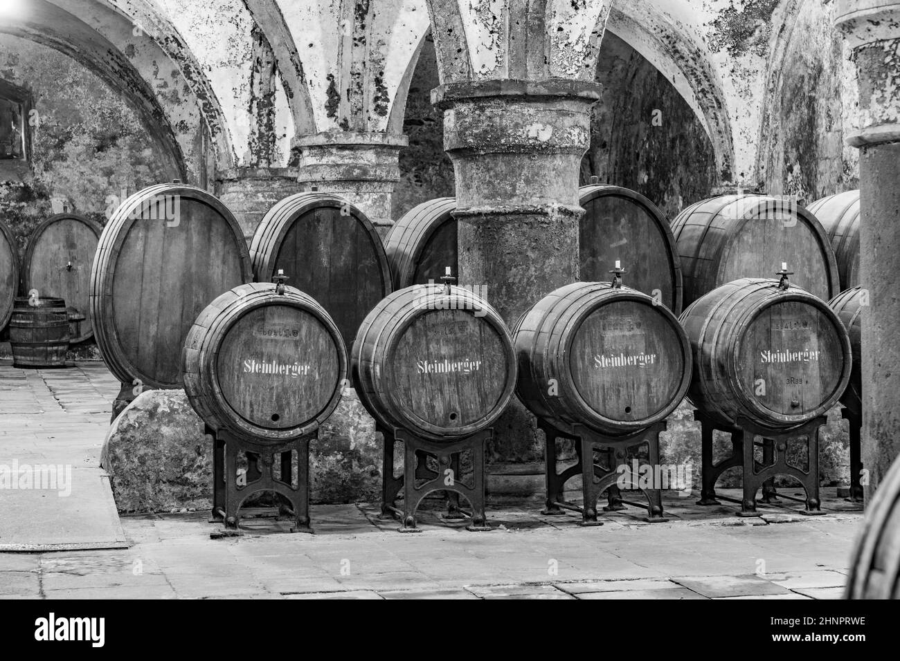 Vieille vines à Eberbach. L'abbaye est un ancien monastère cistercien près d'Eltville am Rhein, dans le Rheingau, en Allemagne Banque D'Images