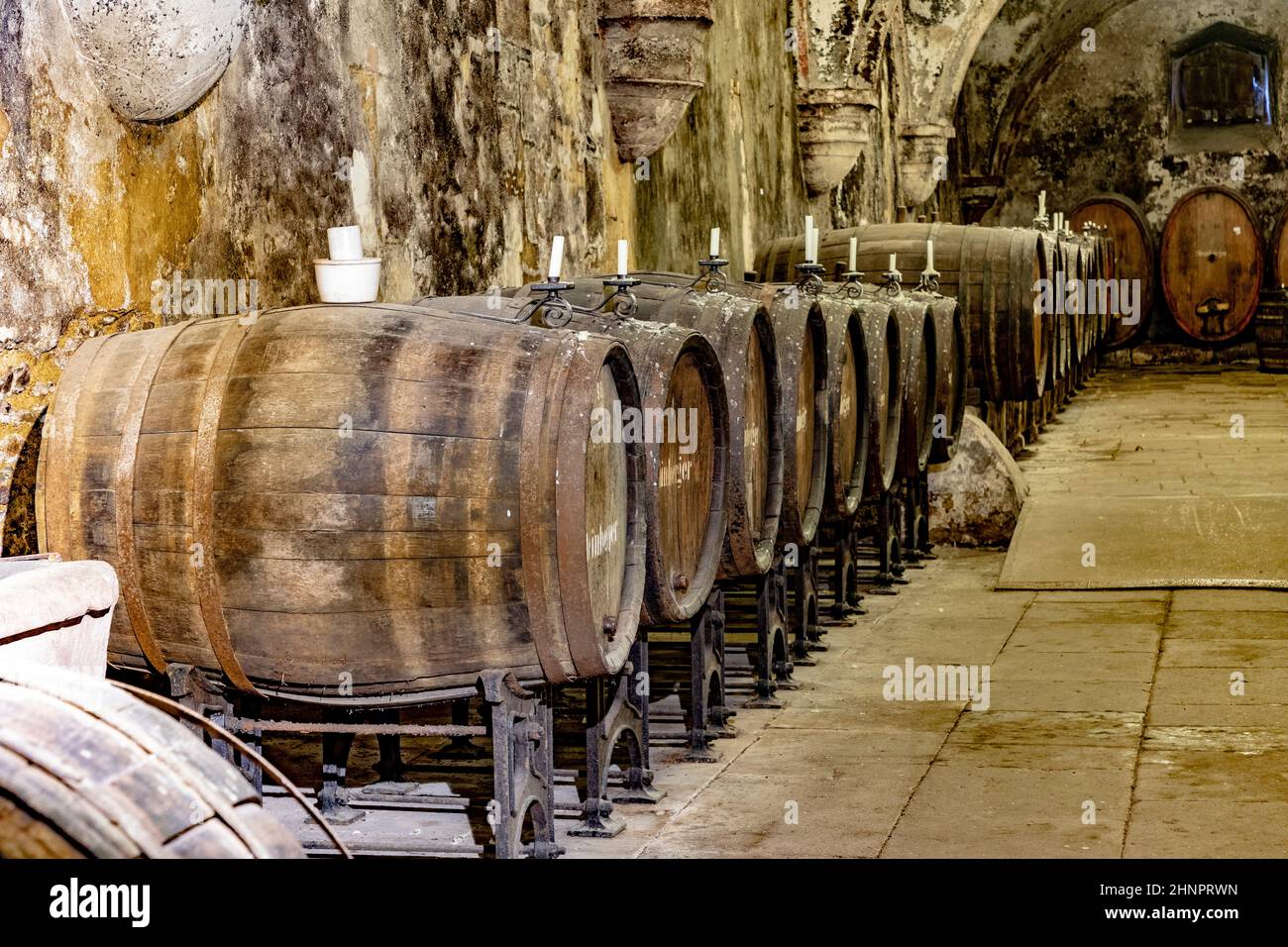 Vieille vines à Eberbach. L'abbaye est un ancien monastère cistercien près d'Eltville am Rhein, dans le Rheingau, en Allemagne Banque D'Images