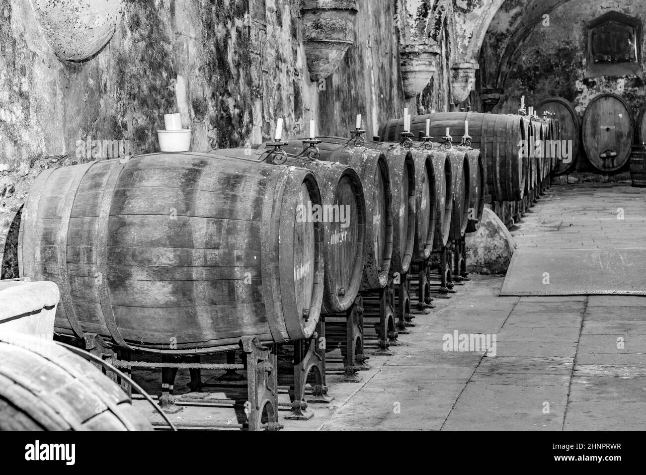 Vieille vines à Eberbach. L'abbaye est un ancien monastère cistercien près d'Eltville am Rhein, dans le Rheingau, en Allemagne Banque D'Images