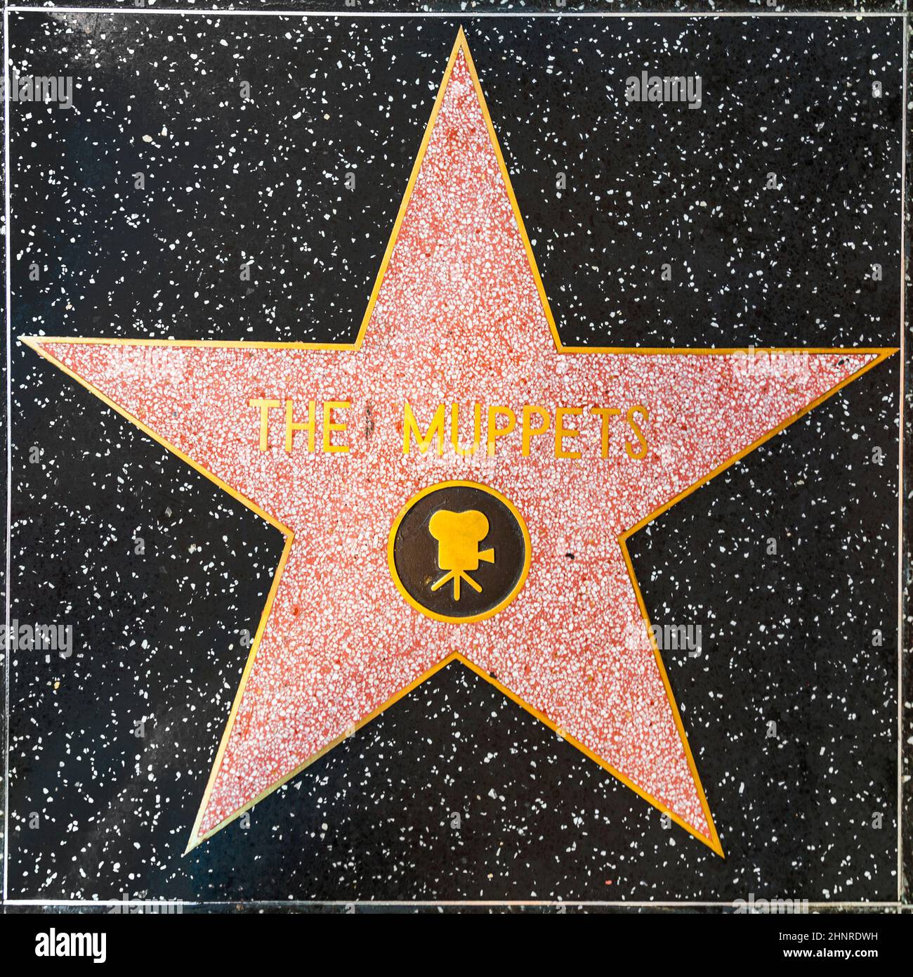 La star des Muppets sur le Hollywood Walk of Fame Banque D'Images