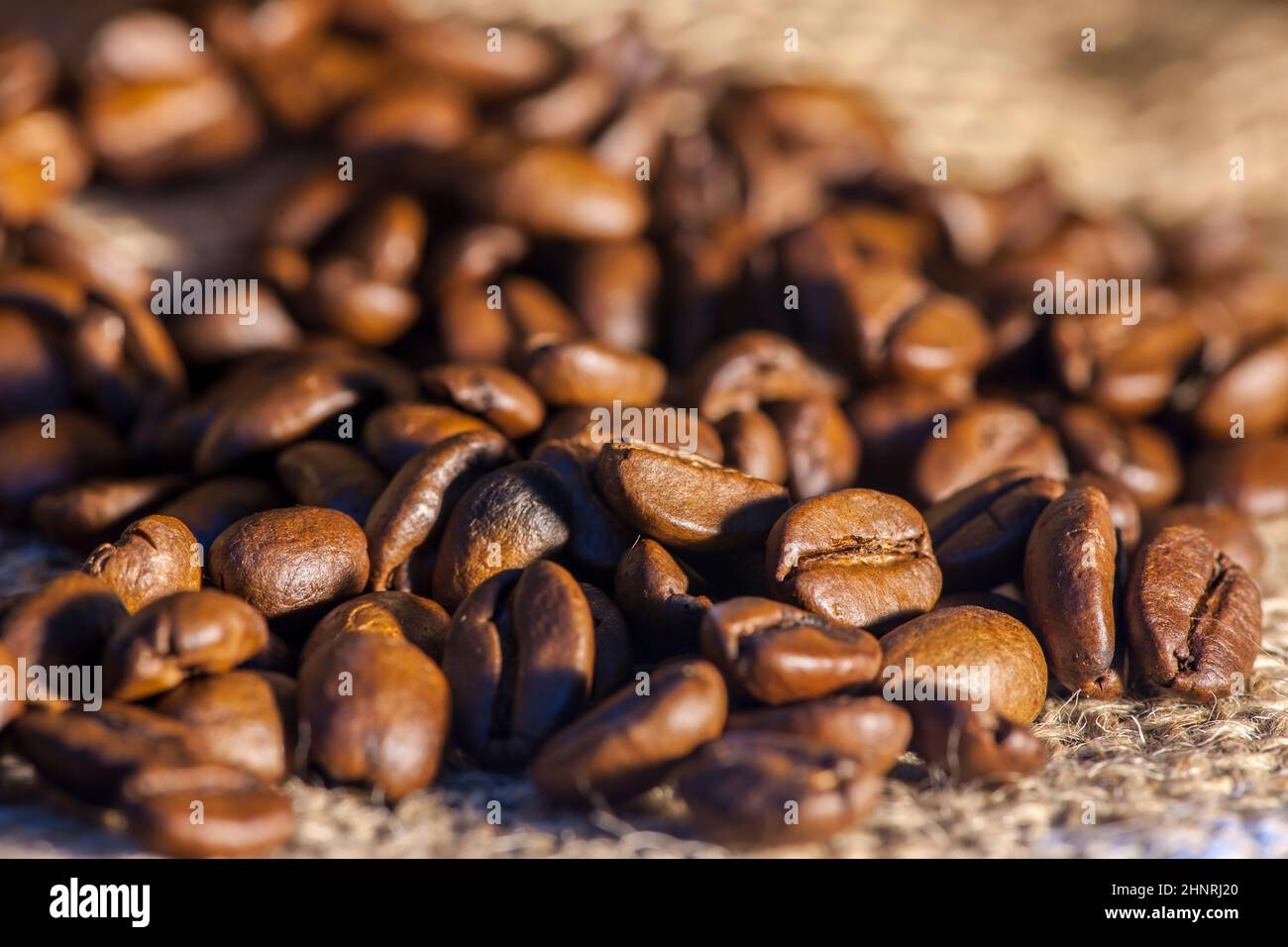 Gros plan de grains de café fraîchement torréfiés saupoudés d'un sac de toile de jute avec une faible profondeur de champ. Banque D'Images