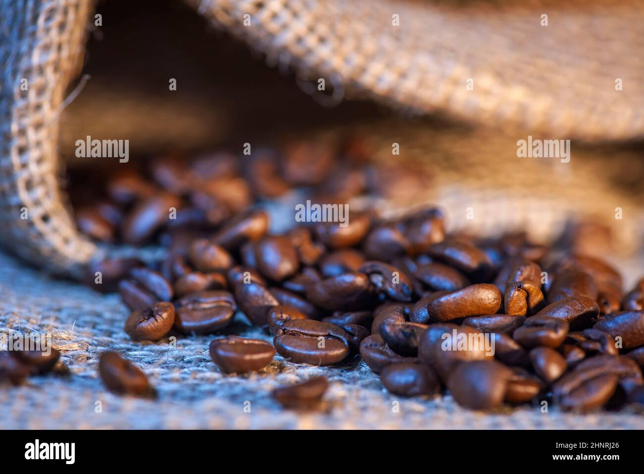 Gros plan de grains de café fraîchement torréfiés saupoudés d'un sac de toile de jute. Banque D'Images