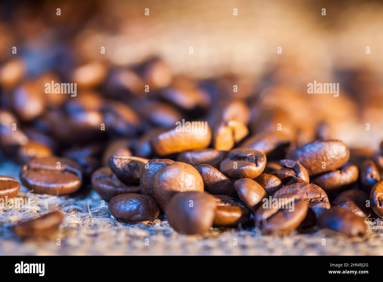Gros plan de grains de café fraîchement torréfiés saupoudés d'un sac de toile de jute avec une faible profondeur de champ. Banque D'Images