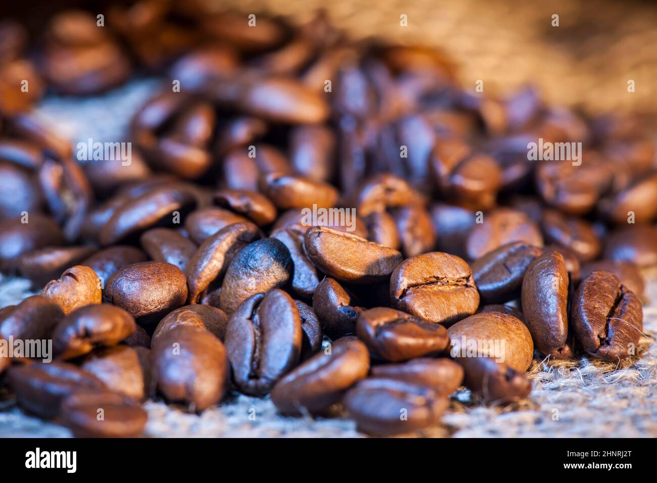 Gros plan de grains de café fraîchement torréfiés saupoudés d'un sac de jute avec une faible profondeur de champ en lumière mélangée. Banque D'Images