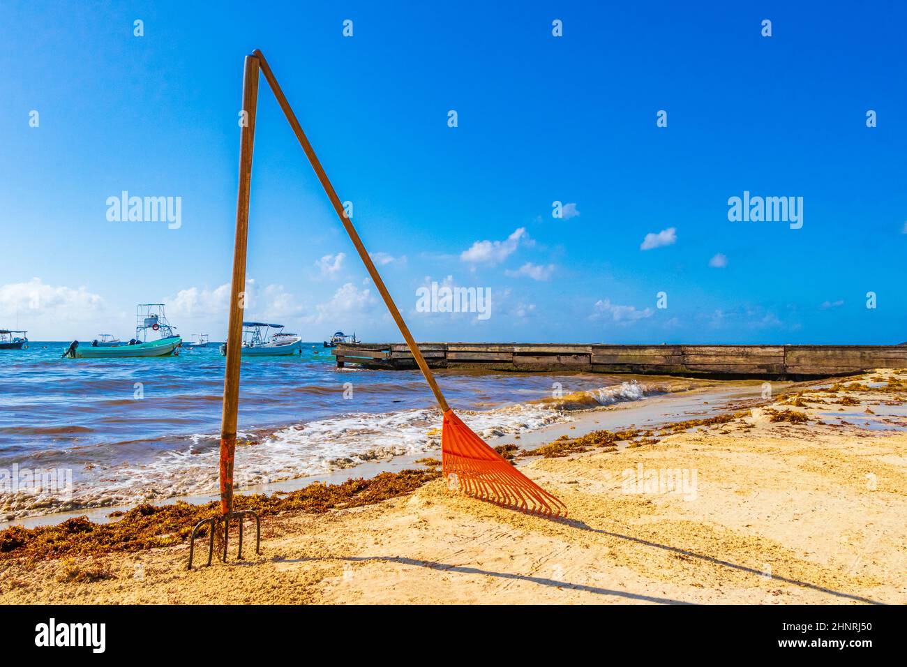 Râteau à fourche balai d'algues Sargazo plage Playa del Carmen Mexique. Banque D'Images