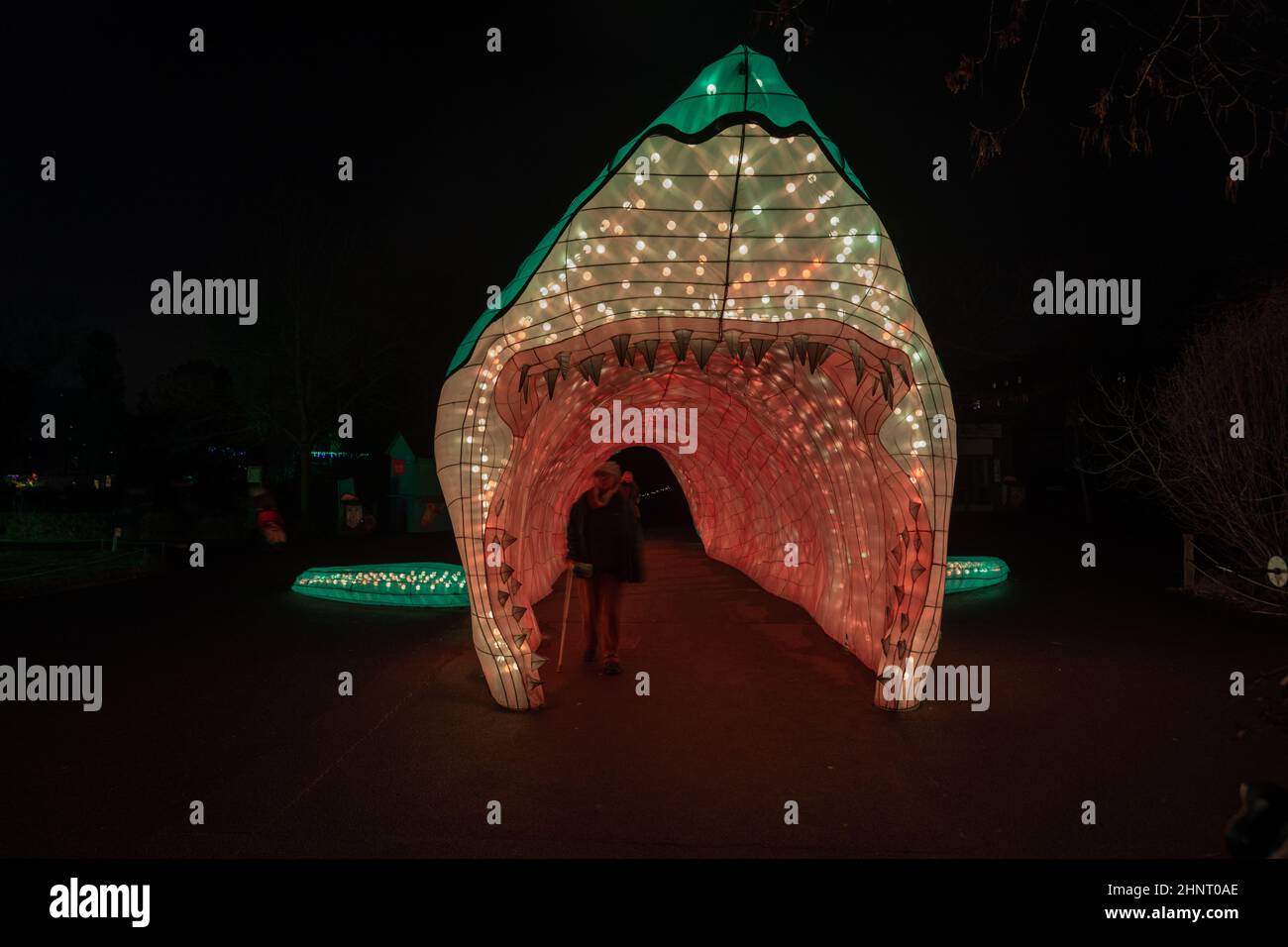 FESTIVAL DE LUMIÈRE DE CHINE au zoo de Cologne avec de nombreux animaux faits de lampes et de techniques de lumière chinoises. Banque D'Images