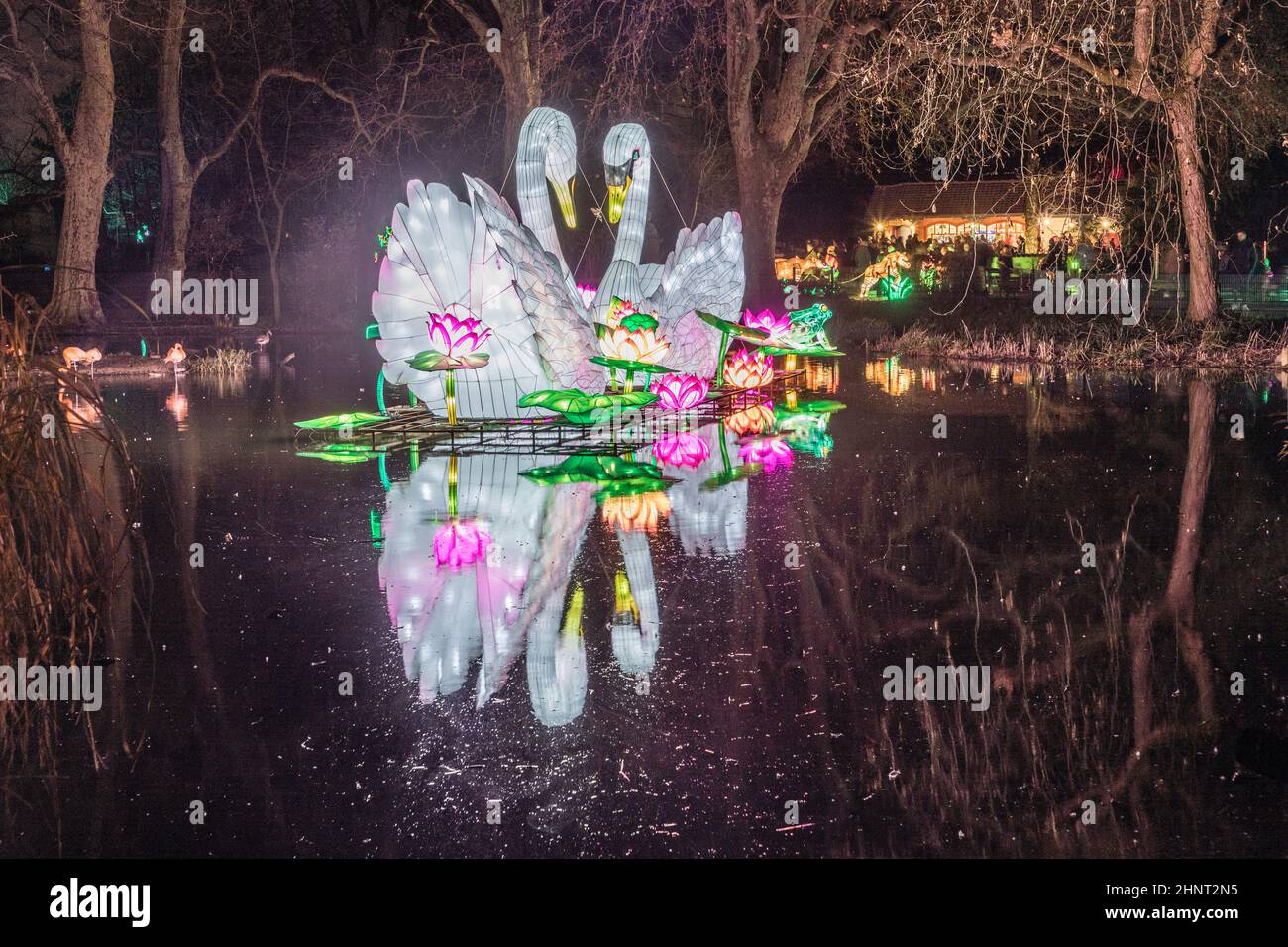 FESTIVAL DE LUMIÈRE DE CHINE au zoo de Cologne avec de nombreux animaux faits de lampes et de techniques de lumière chinoises. Banque D'Images