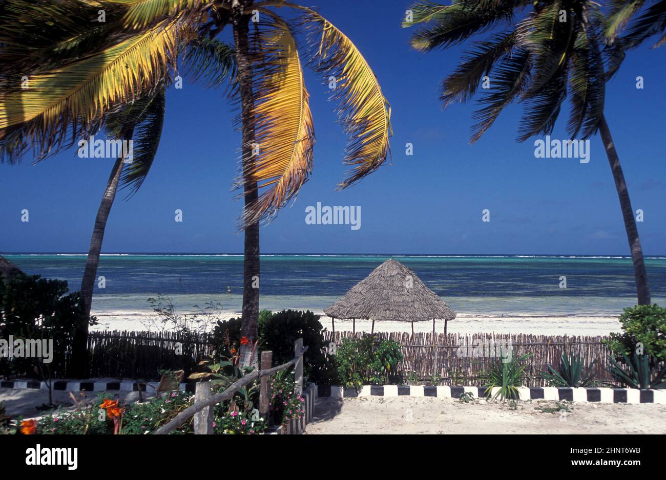 ZANZIBAR BWEJUU PAYSAGE DE LA CÔTE EST Banque D'Images