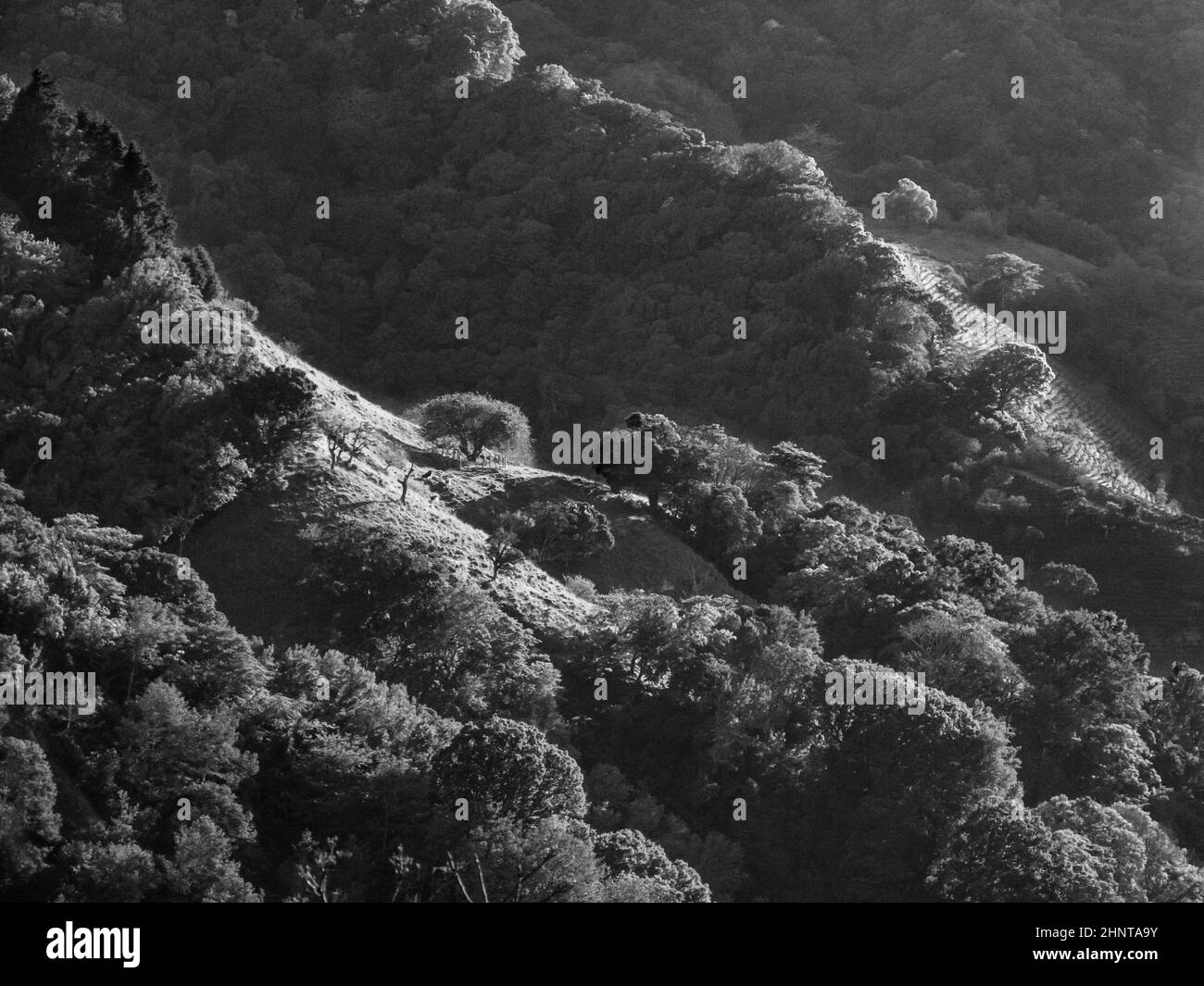 Vue panoramique sur la montagne de Costa Ric Banque D'Images
