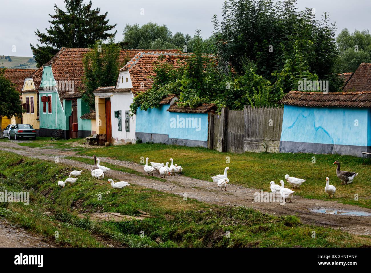 Les maisons de ferme du village de Viscri en Roumanie Banque D'Images