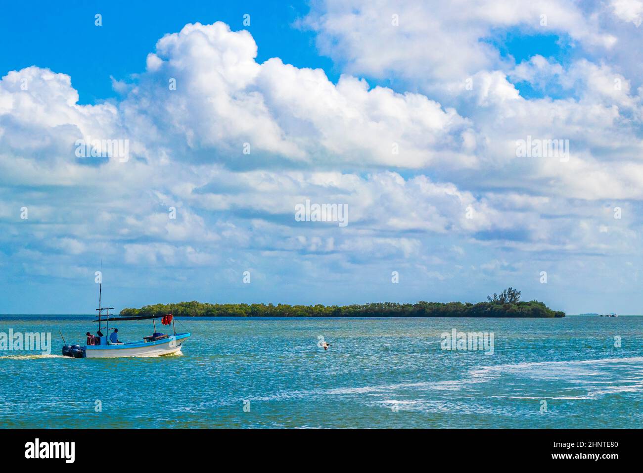 Panorama paysage vue Holbox île avec bateau oiseaux nature Mexique. Banque D'Images
