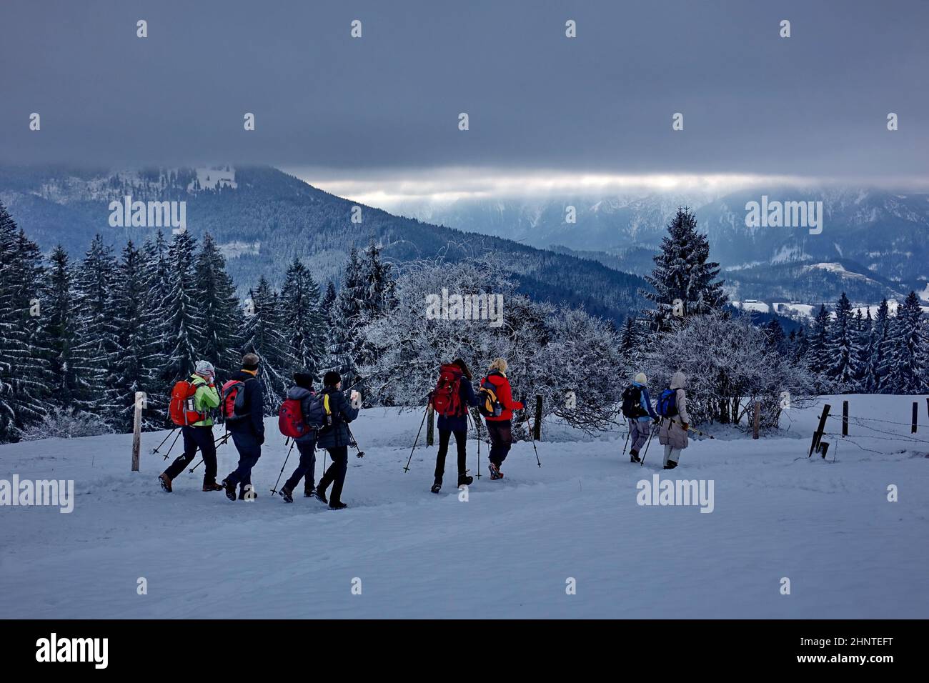 Bavière, haute-Bavière, groupe de randonnée, montagne Schwarzenberg, Vallée du Leitzach, Frost, neige, hiver Banque D'Images