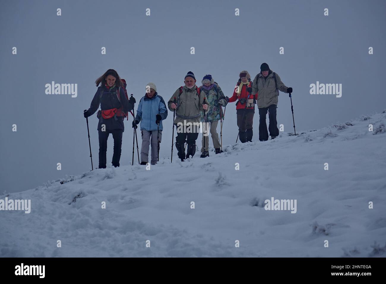 Bavière, haute-Bavière, groupe de randonnée, montagne Schwarzenberg, Frost, Neige, hiver Banque D'Images