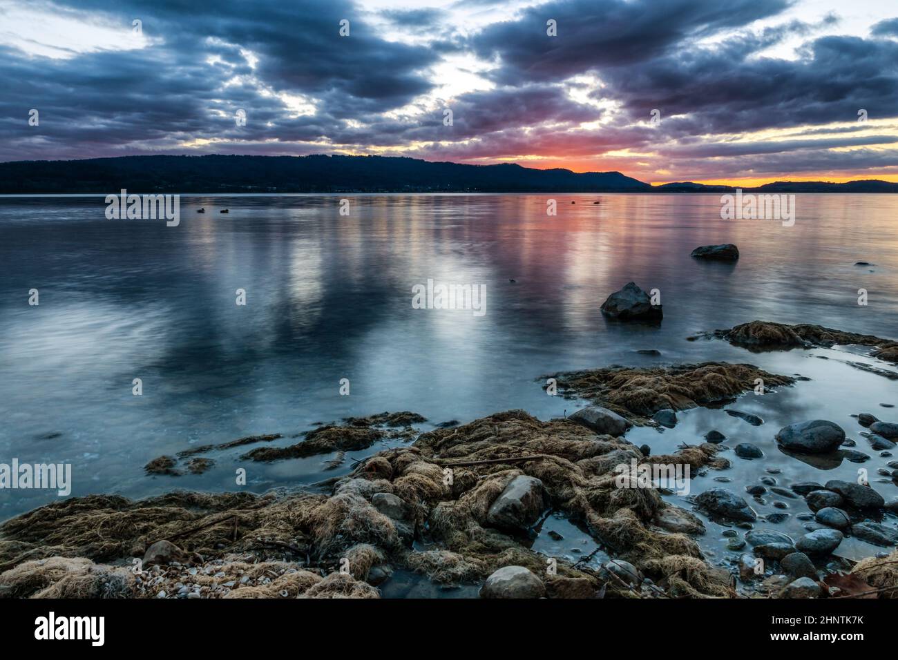 Ciel bleu et coloré au coucher du soleil sur le lac de Constance Banque D'Images