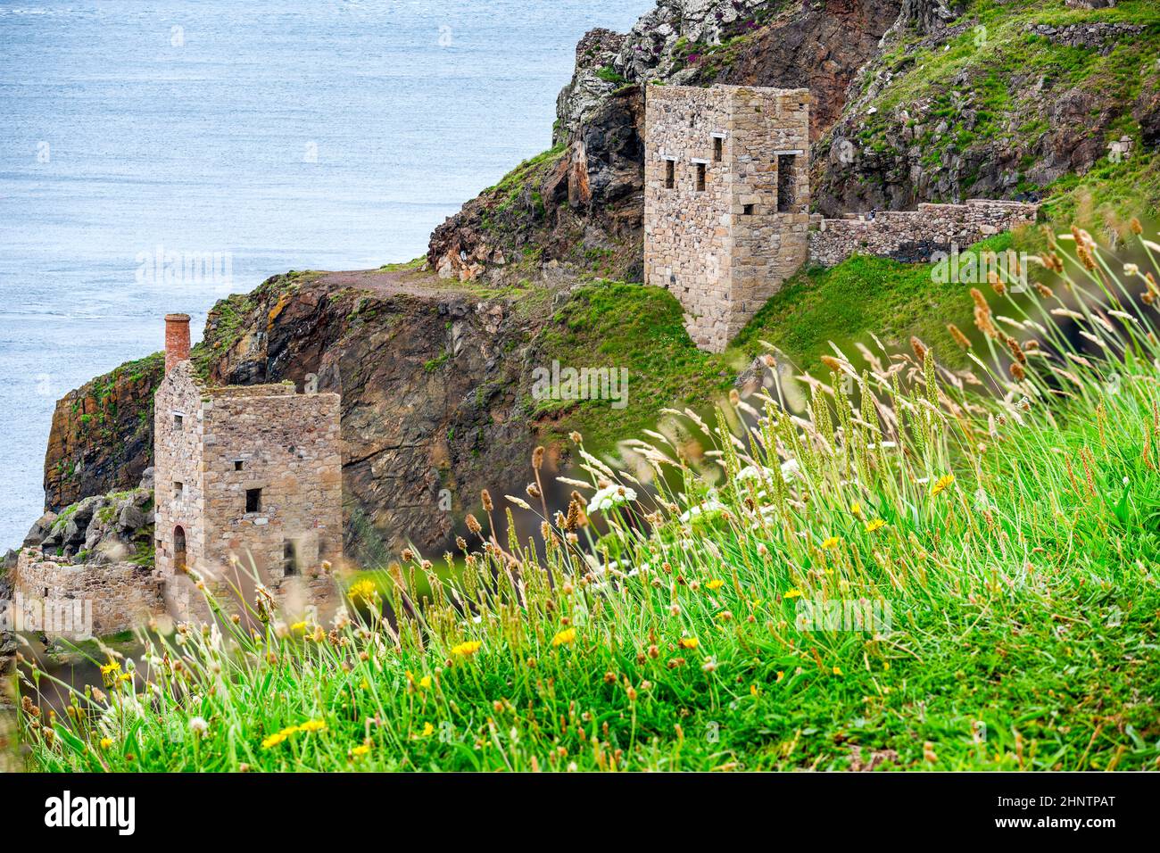 Vue depuis le haut d'une falaise recouverte de fleurs, site classé au patrimoine mondial de l'UNESCO, lors d'une journée d'été calme sur la côte nord de Cornouailles, un lieu de vacances populaire de la National Trust Banque D'Images