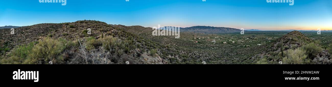 Coucher de soleil panoramique avec de beaux cactus verts à Tuscon, Arizona Banque D'Images