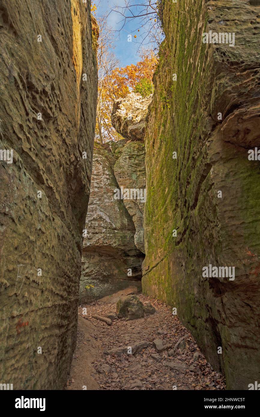 Chemin étroit dans un canyon en grès dans le parc national de Giant City dans l'Illinois Banque D'Images