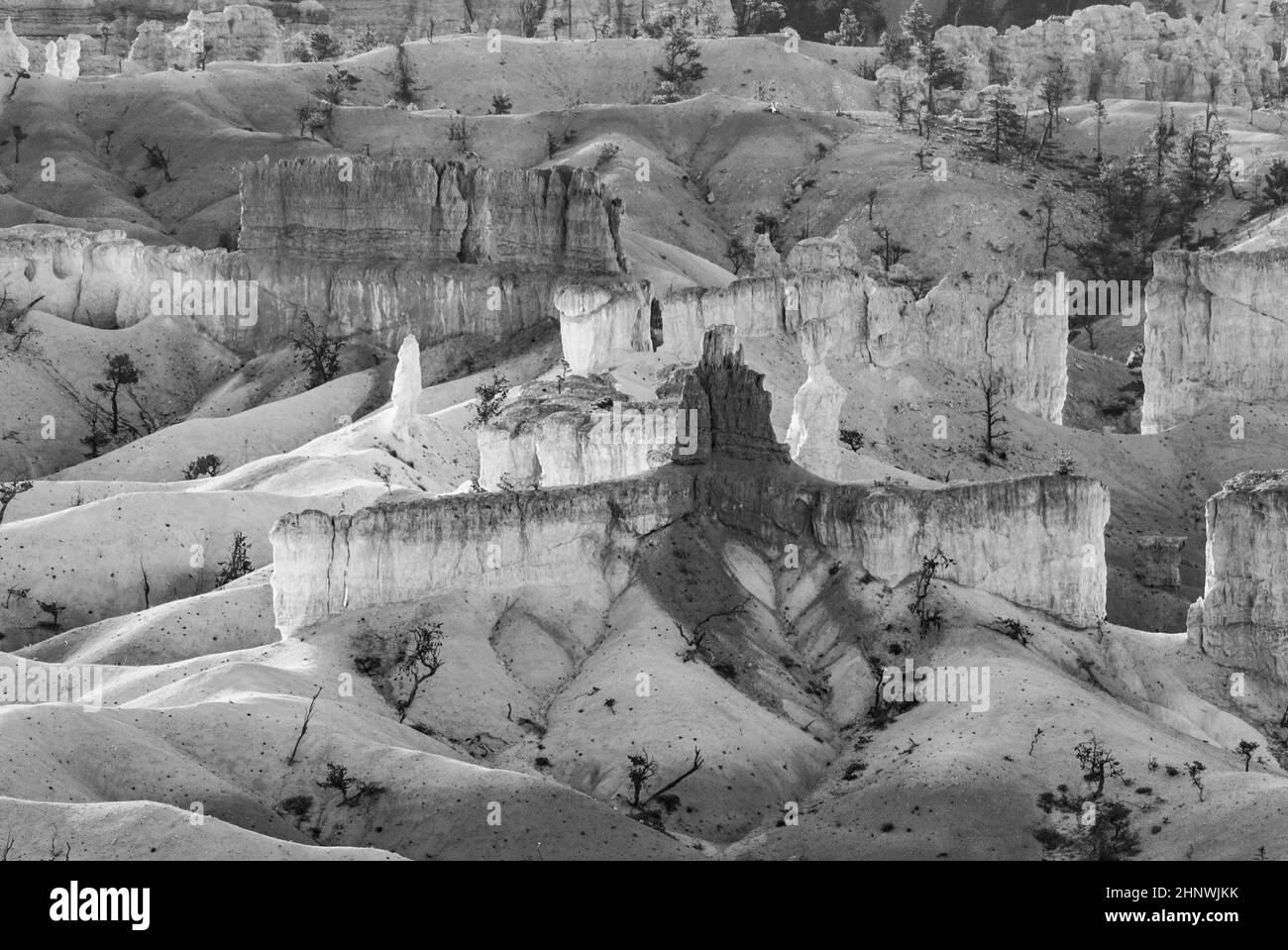 Beau paysage à Bryce Canyon avec magnifique pierre formation comme amphithéâtre, des temples, des chiffres dans la lumière du matin Banque D'Images