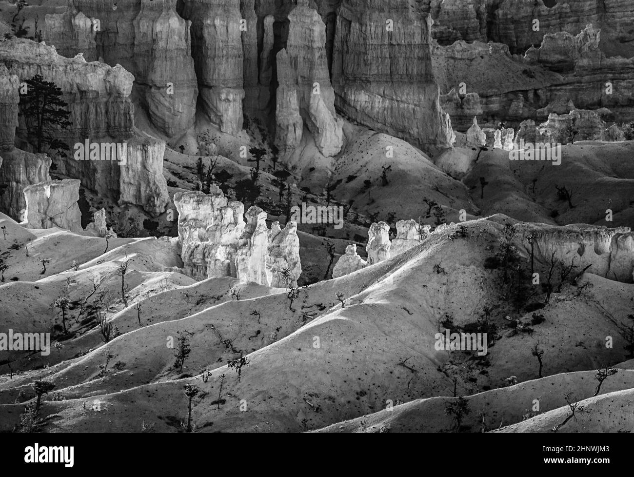 Magnifique paysage à Bryce Canyon avec magnifique formation de pierre Banque D'Images