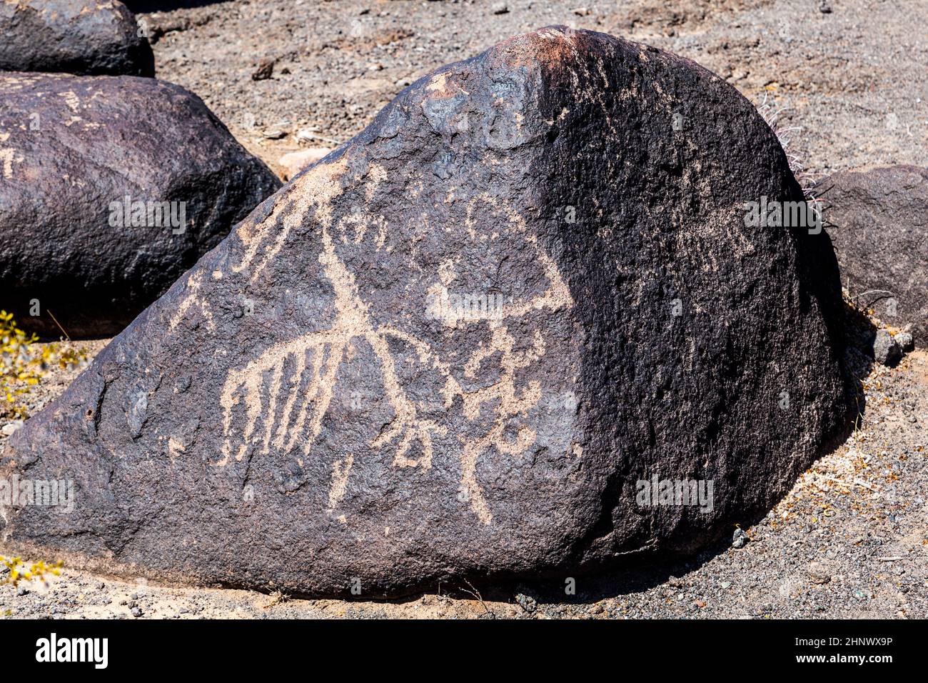 Petroglyph site, près de Gila Bend, Arizona Banque D'Images