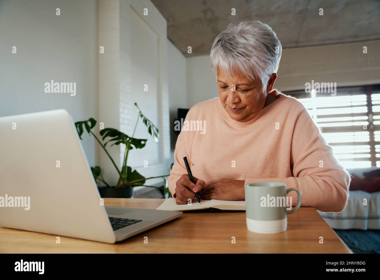 Une femme âgée de plusieurs ethnies écrit dans un ordinateur portable avec un stylo tout en étant assise devant un ordinateur portable au comptoir moderne. Banque D'Images