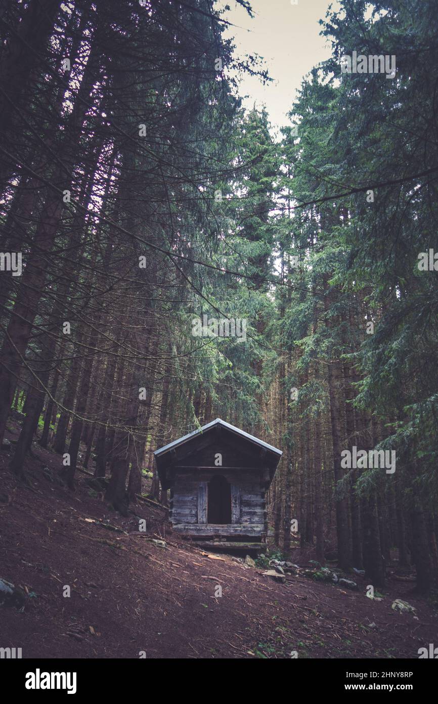 Petite cabine en bois abandonnée dans une forêt de sapins sombres Banque D'Images
