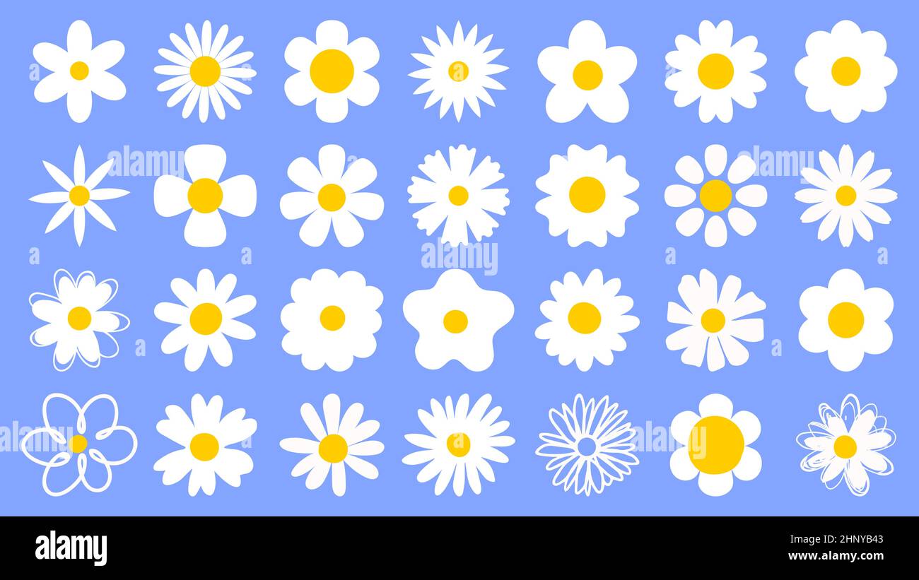 Logos de Marguerite, icônes de fleurs de camomille. Éléments floraux à motif printemps. Fleurs aux pétales blancs. Ensemble de dessins animés Doodle Daisy Vector Illustration de Vecteur