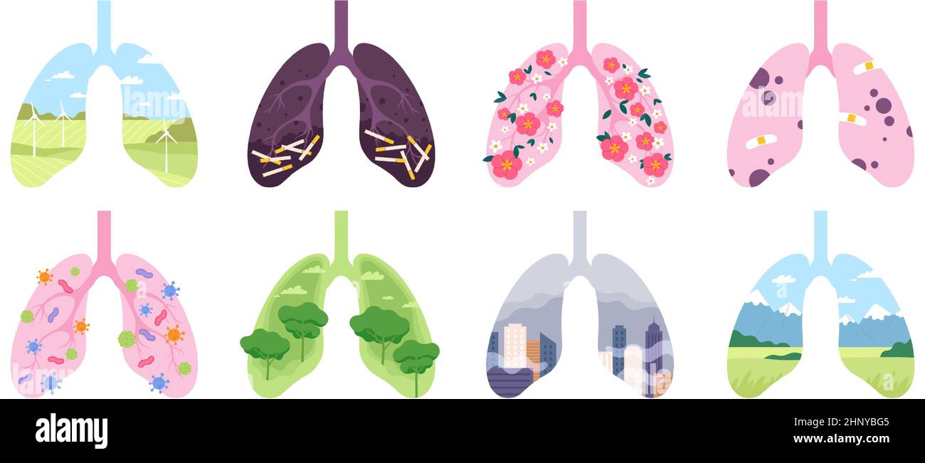 Les poumons, le tabac et la pollution sont sains et malsains. Système respiratoire clair avec champ, arbre, fleur. Ensemble de vecteurs pulmonaires malades. Illustrateur Illustration de Vecteur